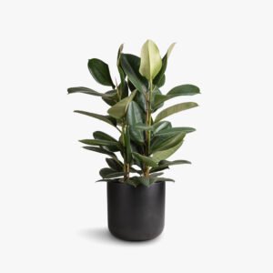 Large Ceramic Porcelain Flower Pot