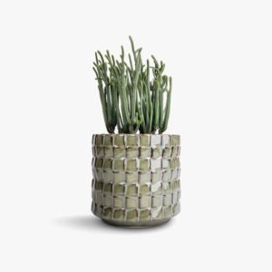 Tied Ribbons Artificial Eucalyptus Gingko Leaves Plants