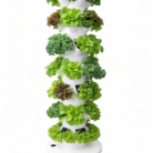 ChatGPT Image Feb 23, 2026, 03_29_18 AM